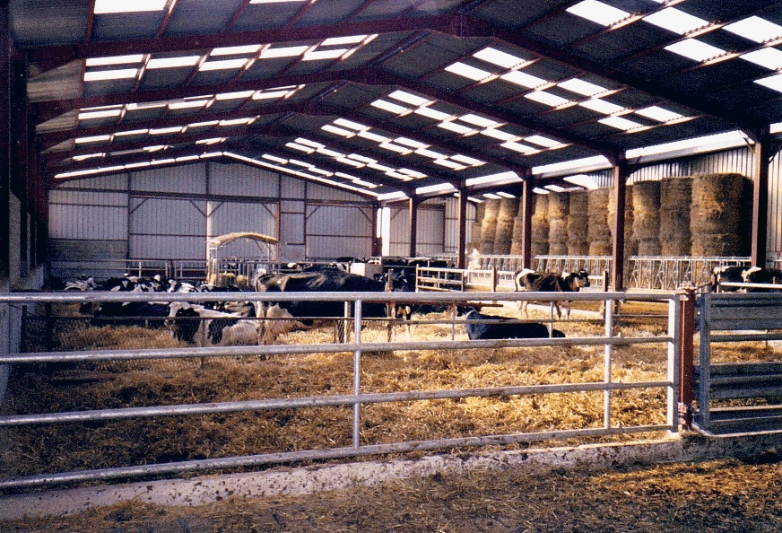 Image histoire Hangarden